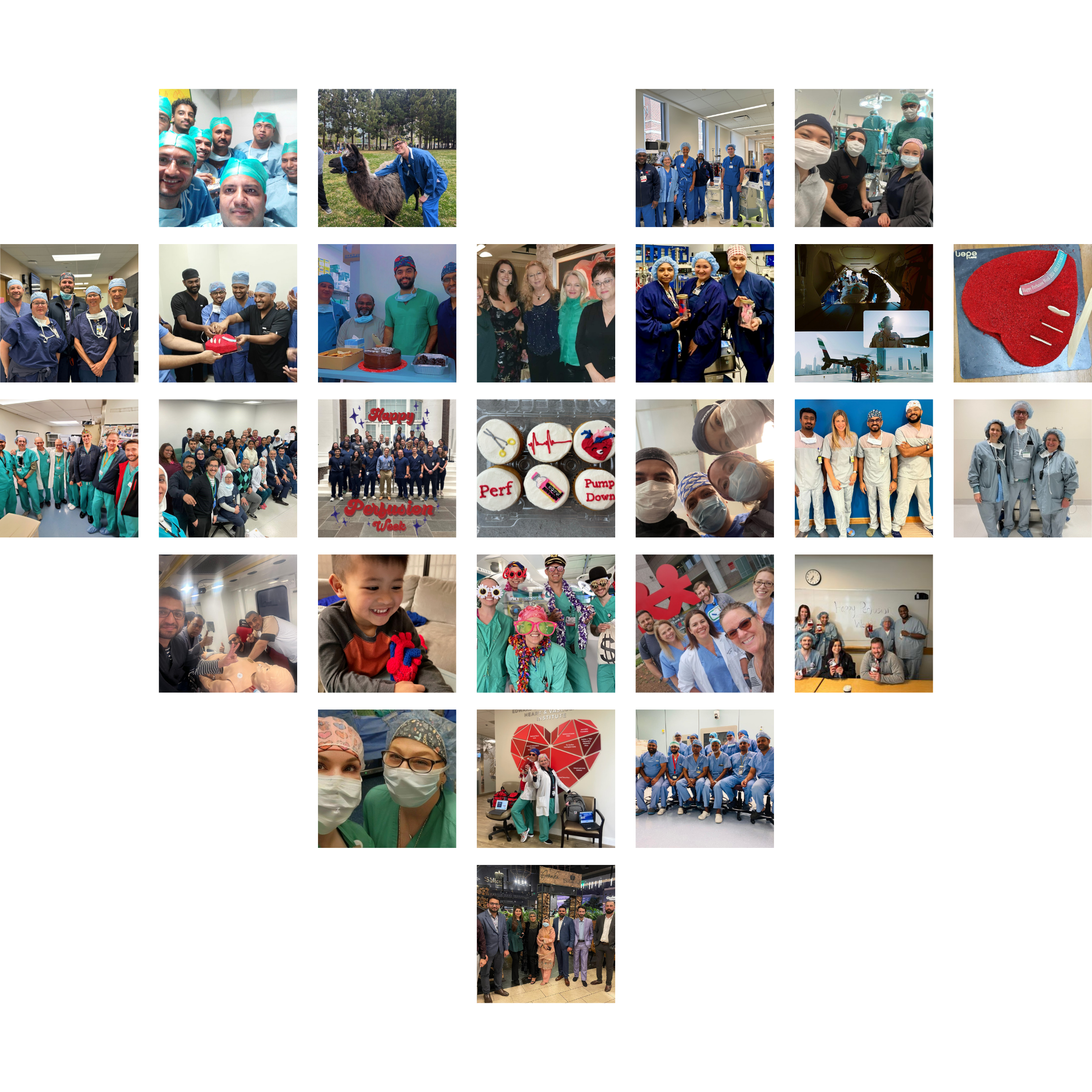 International Perfusion Week Collage